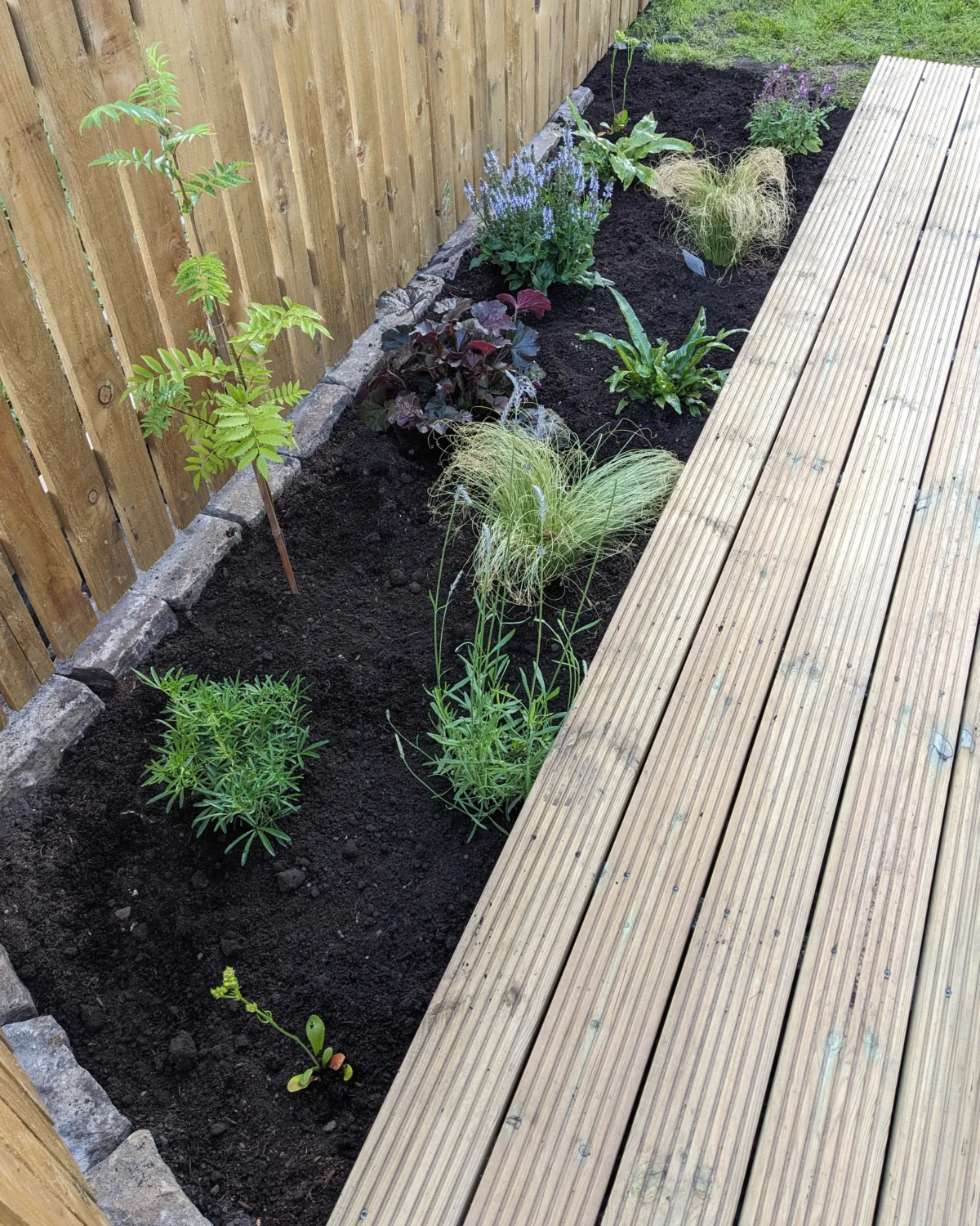 Sprucen_decking-photo-06-website-card